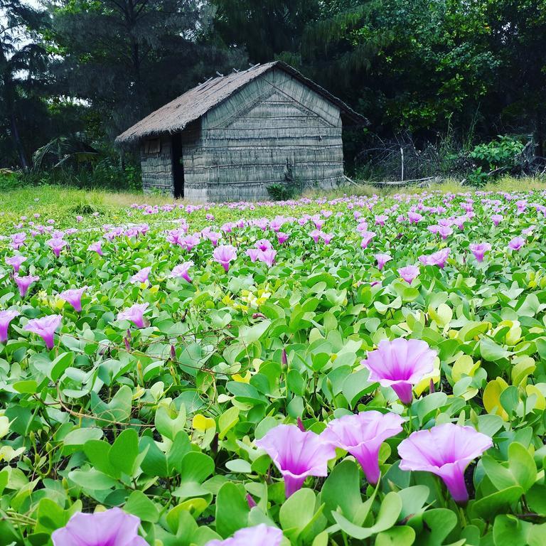 Summer Home Kelaa Ngoại thất bức ảnh